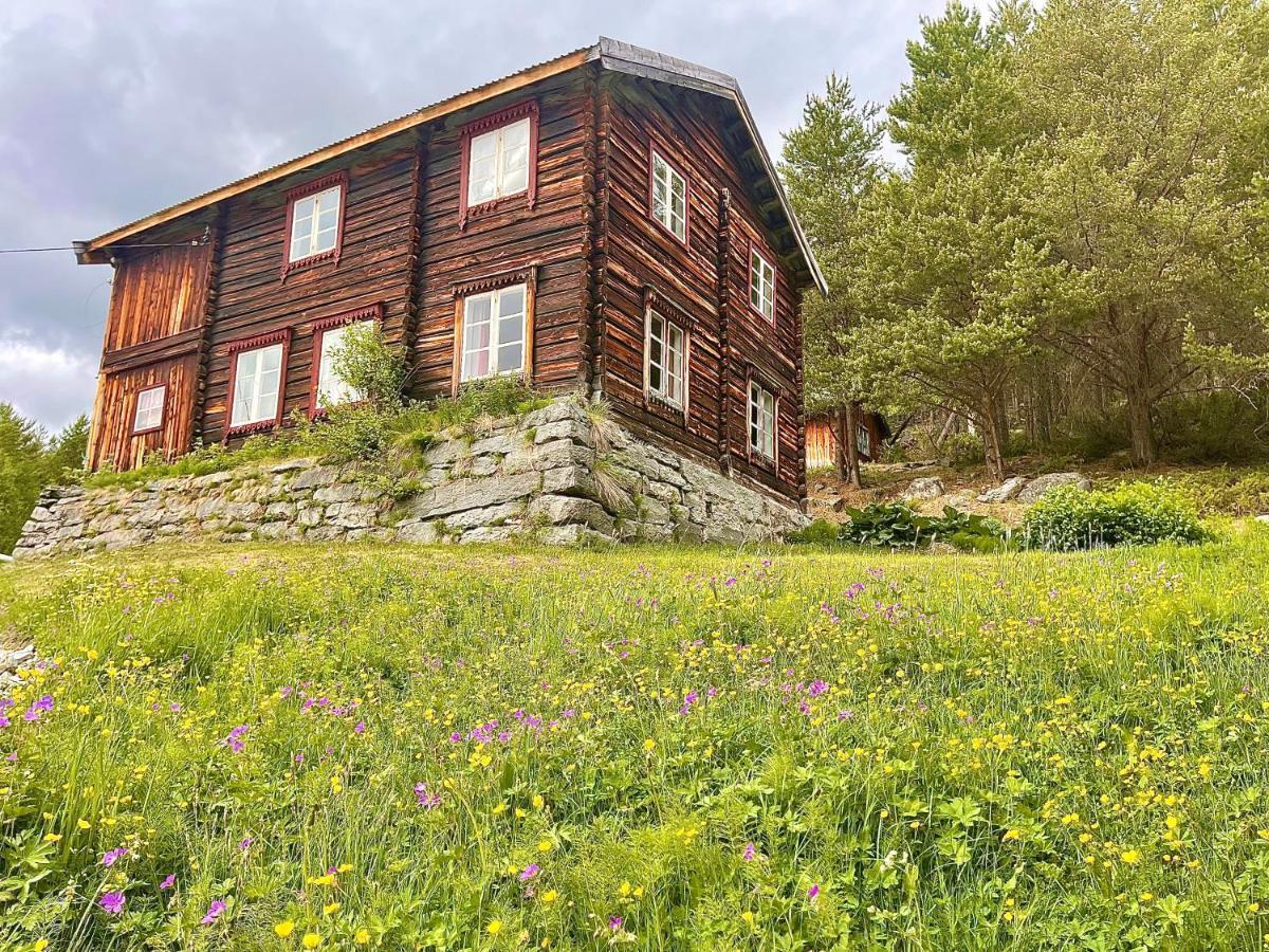 Reinheimen Lodge *
